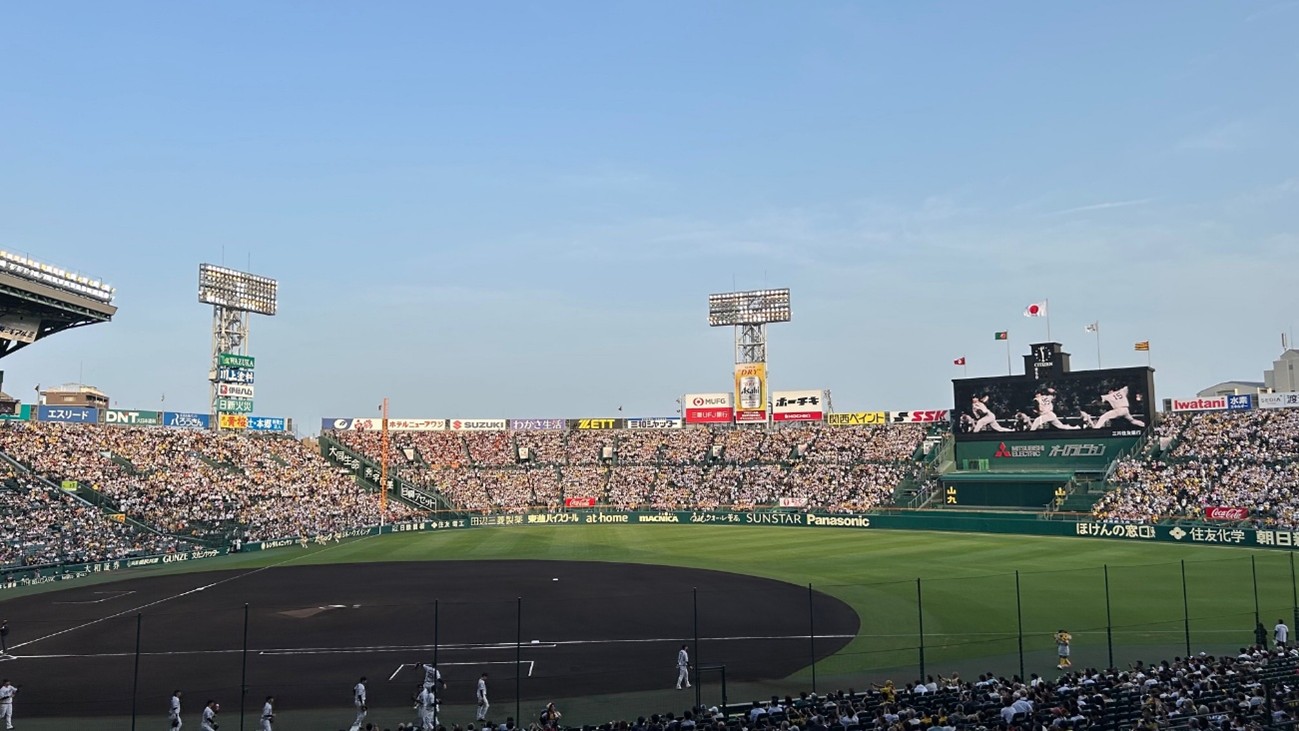 アイビーシートの魅力 - 大成興業株式会社